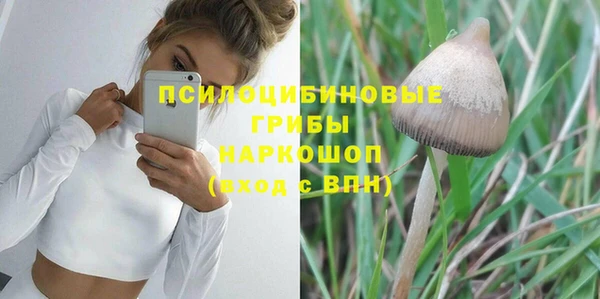 трава Абинск