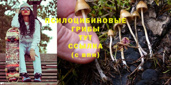 трава Абинск