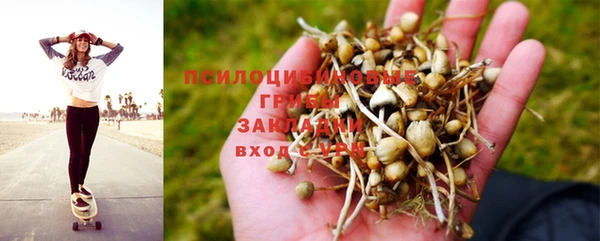 гидропоника Алексеевка