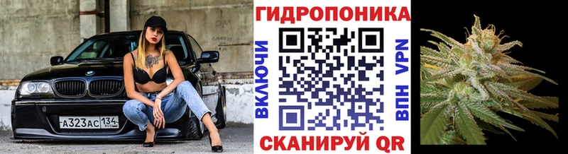 Канабис гибрид Калининград