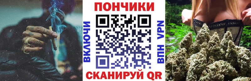 где продают наркотики Калининград Конопля сатива